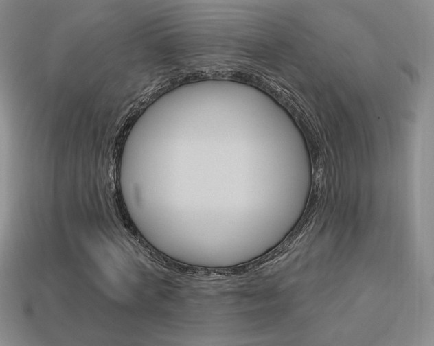 X0000114200772200910091048