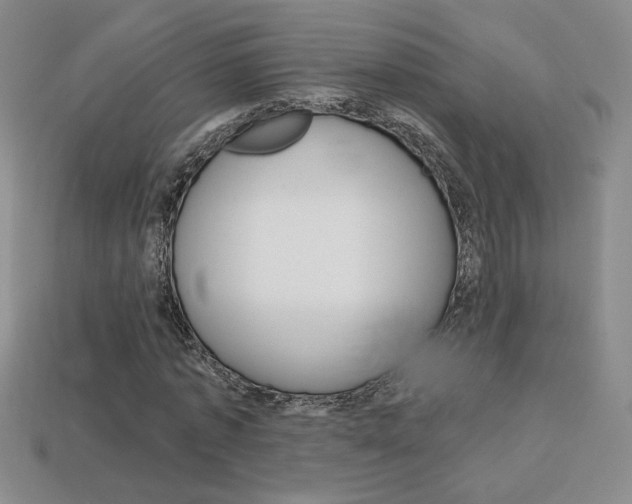 X0000114200773200910091048