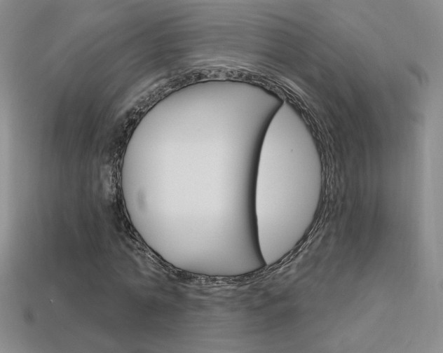 X0000114200774200910091048