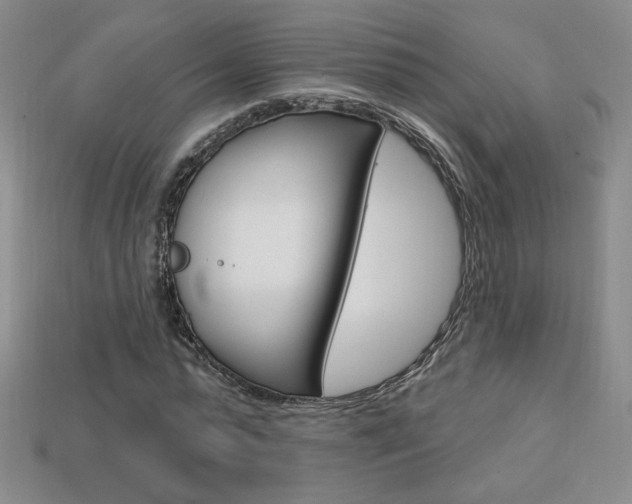 X0000114200775200910091048