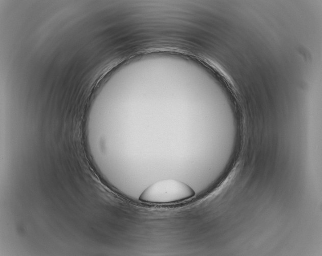X0000114200777200910091047