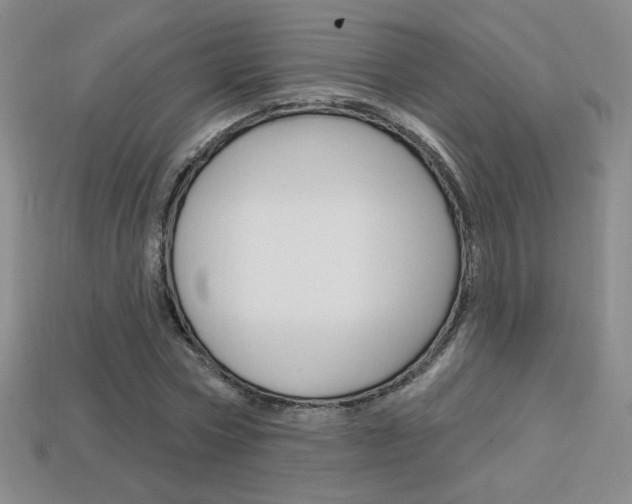 X0000114200778200910091047