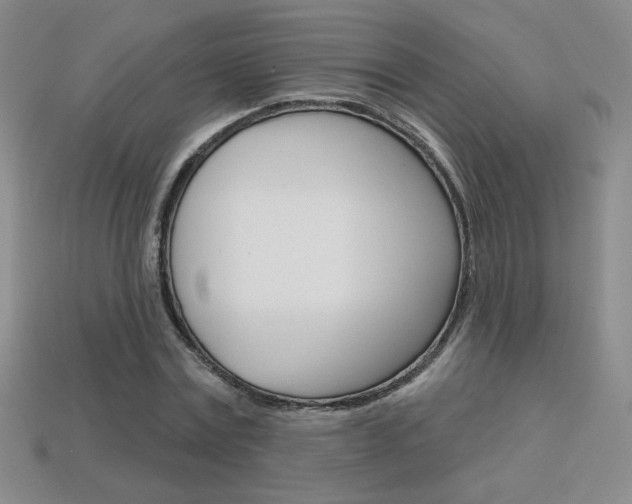 X0000114200779200910091047