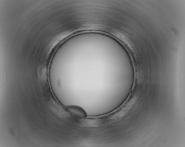 X0000114200781200910091047