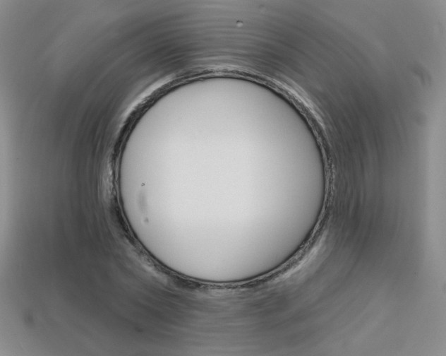 X0000114200782200910091047