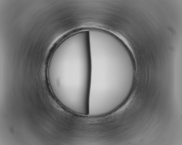 X0000114200783200910091047