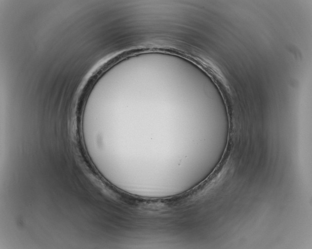 X0000114200784200910091047