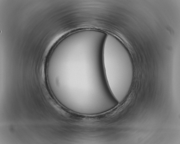 X0000114200788200910091047