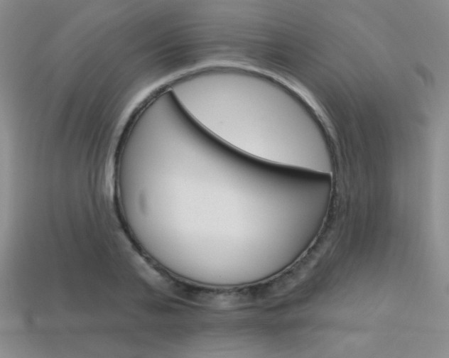 X0000114200791200910091047