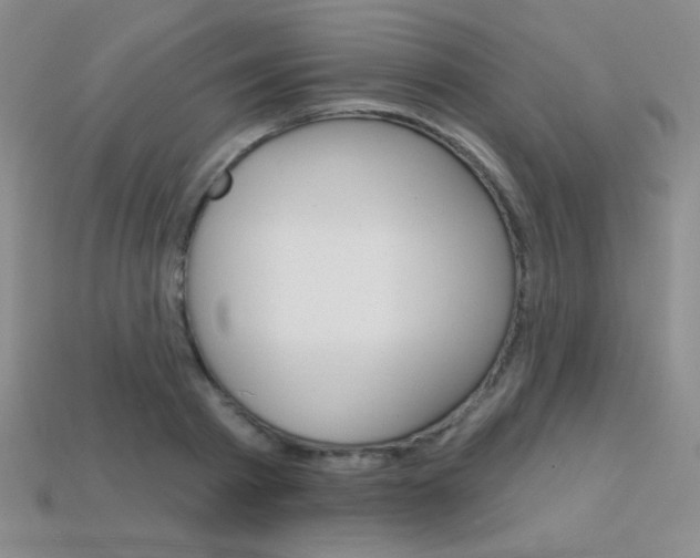 X0000114200793200910091047