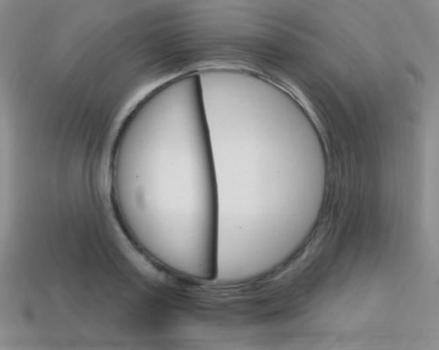 X0000114200795200910091047
