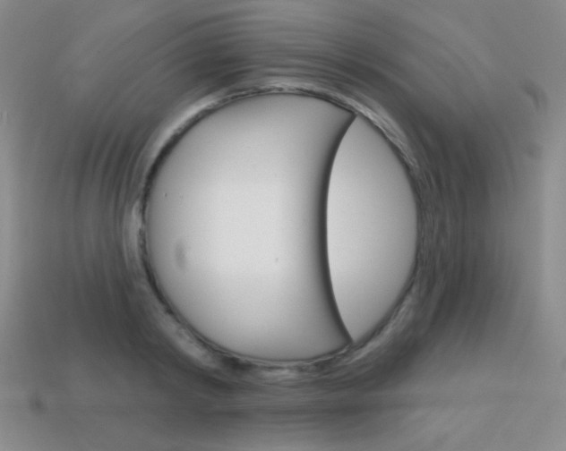 X0000114200798200910091047