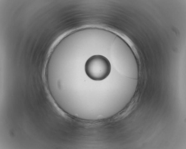 X0000114200807200910091047