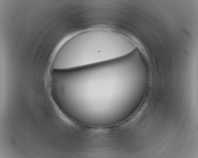 X0000114200808200910091047