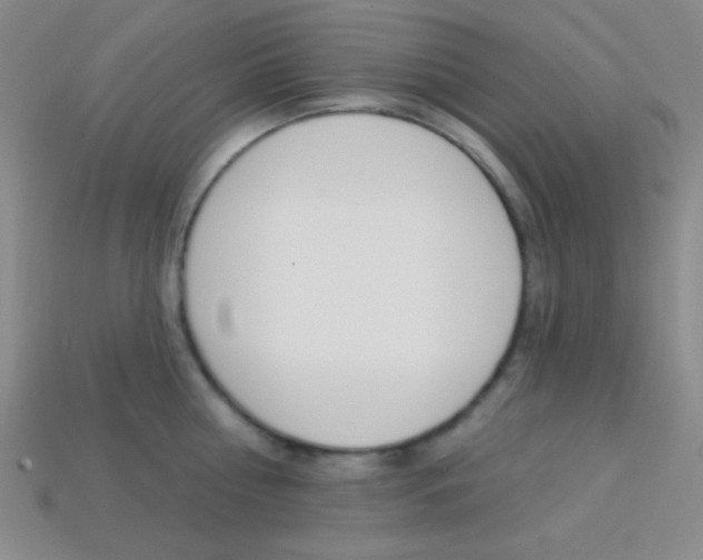 X0000114200810200910091047