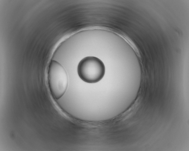 X0000114200813200910091047