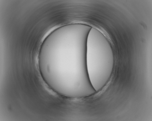 X0000114200814200910091047