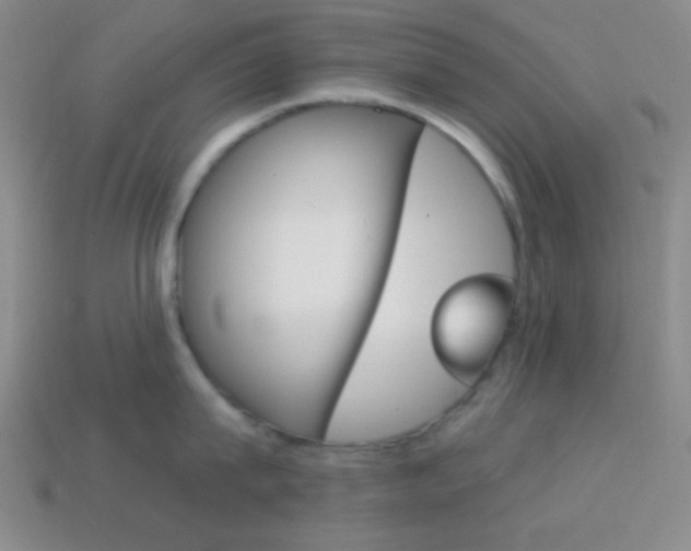 X0000114200815200910091047
