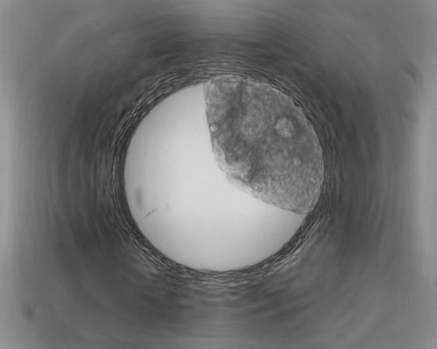 X0000114200818200910091046
