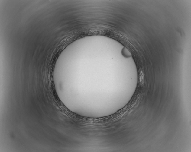 X0000114200819200910091046