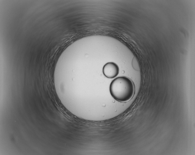 X0000114200820200910091046