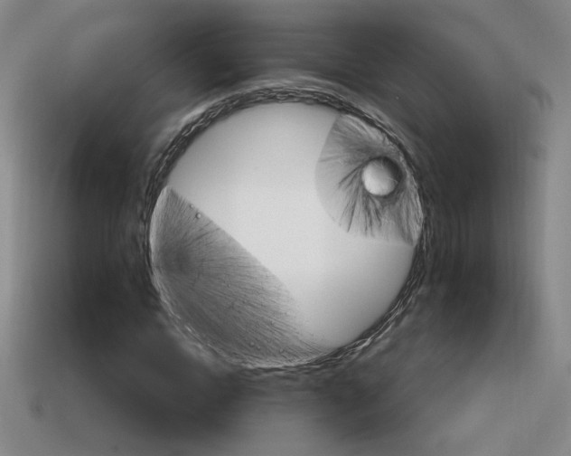 X0000114200822200910091046