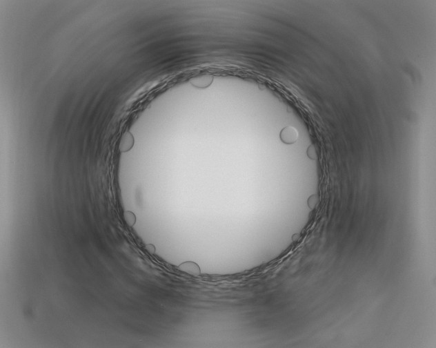 X0000114200824200910091046