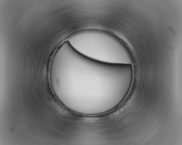 X0000114200825200910091046