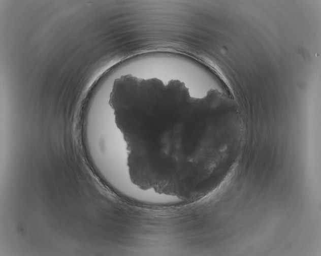 X0000114200827200910091047