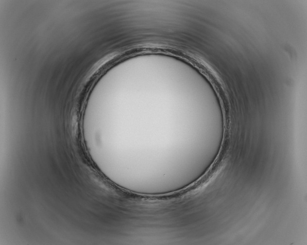 X0000114200829200910091047