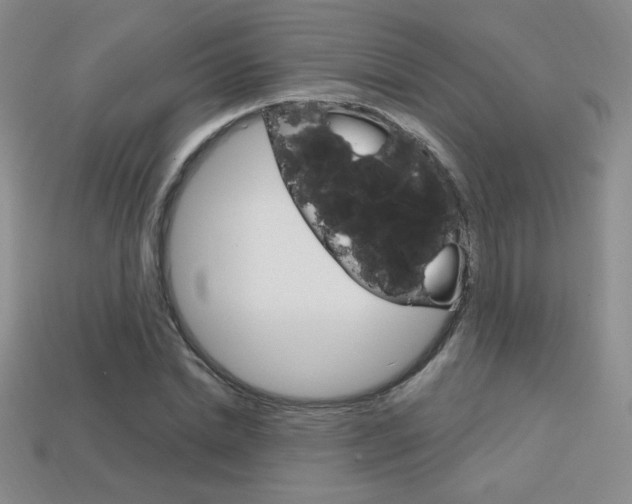 X0000114200830200910091047