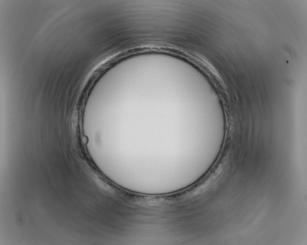 X0000114200831200910091047
