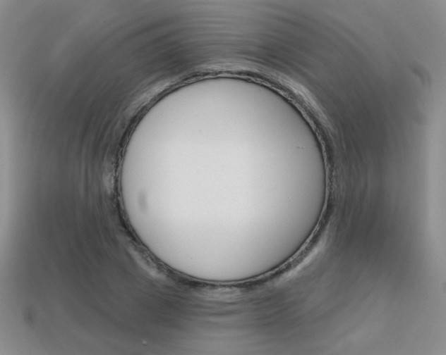 X0000114200833200910091047