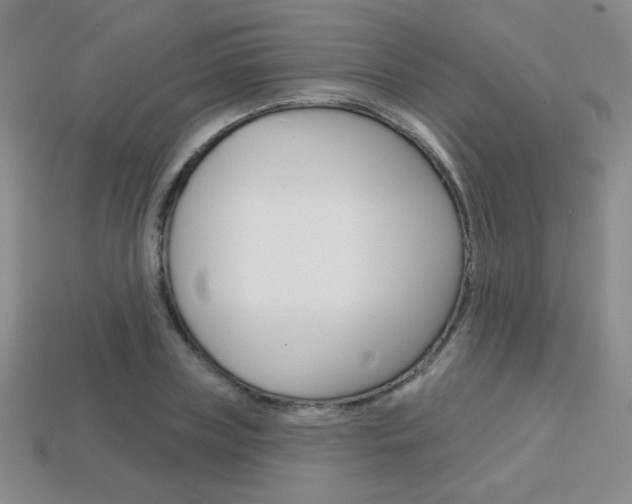 X0000114200835200910091047