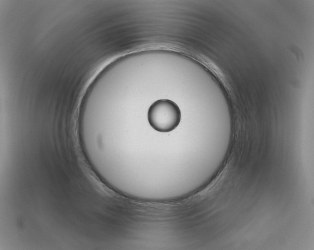 X0000114200836200910091047