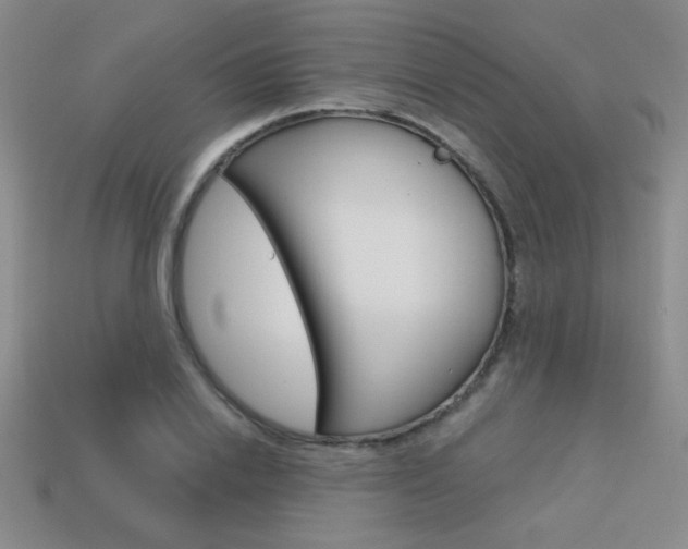 X0000114200838200910091047