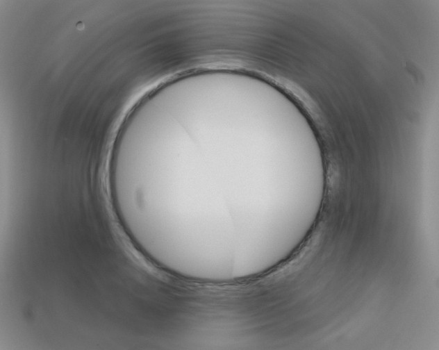 X0000114200840200910091047