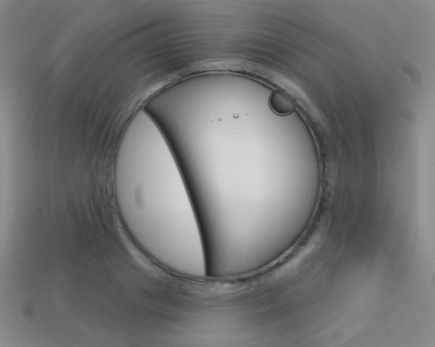 X0000114200841200910091047