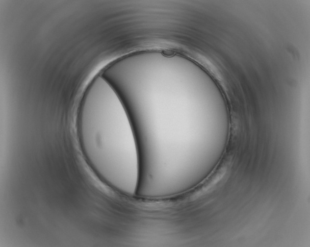 X0000114200843200910091047
