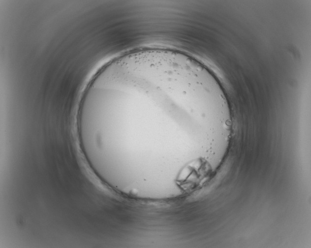 X0000114200848200910091047