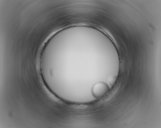 X0000114200851200910091047