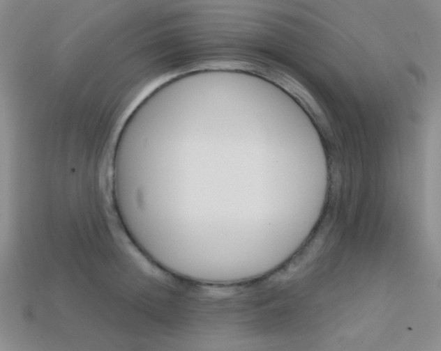 X0000114200852200910091047