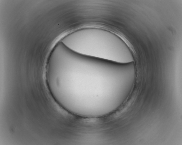 X0000114200853200910091047