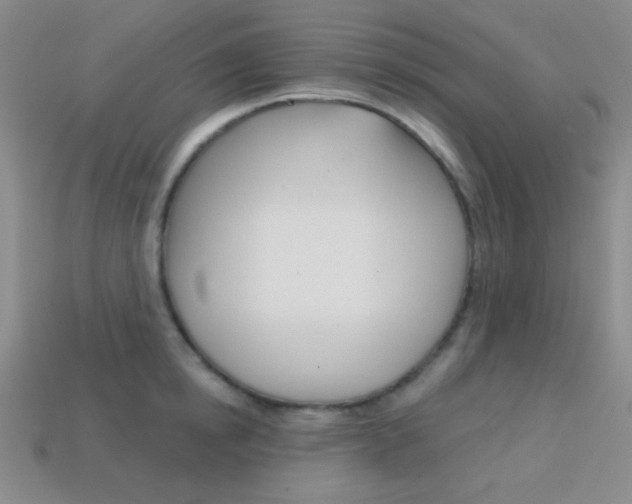X0000114200854200910091047