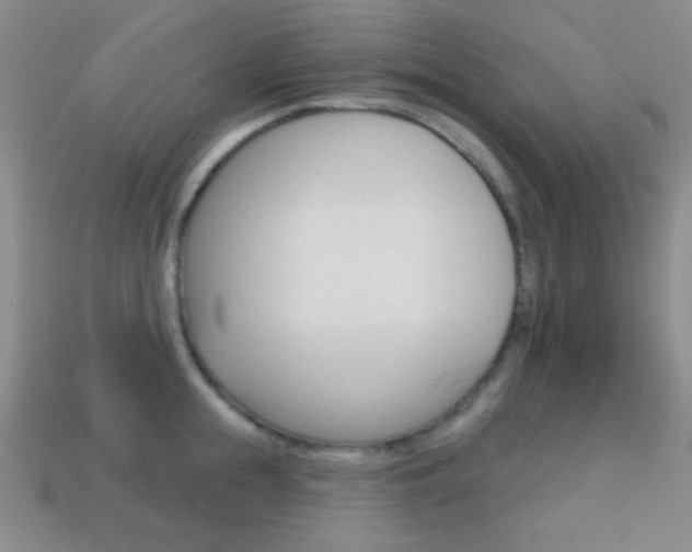 X0000114200855200910091047