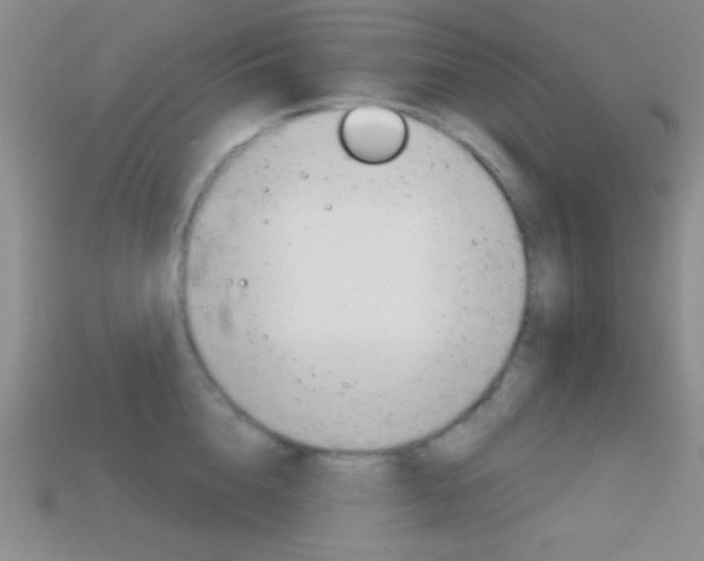 X0000114200856200910091047
