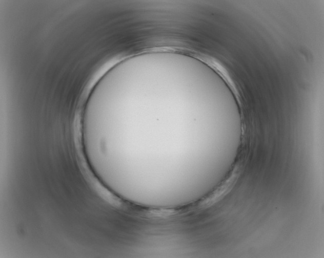 X0000114200859200910091047