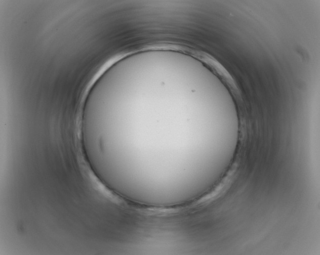 X0000114200860200910091047