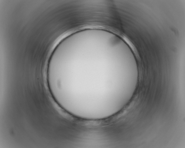 X0000114200861200910091047