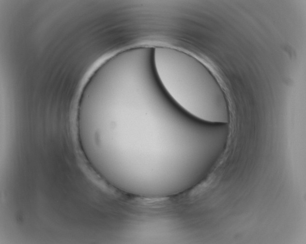 X0000114200864200910091047